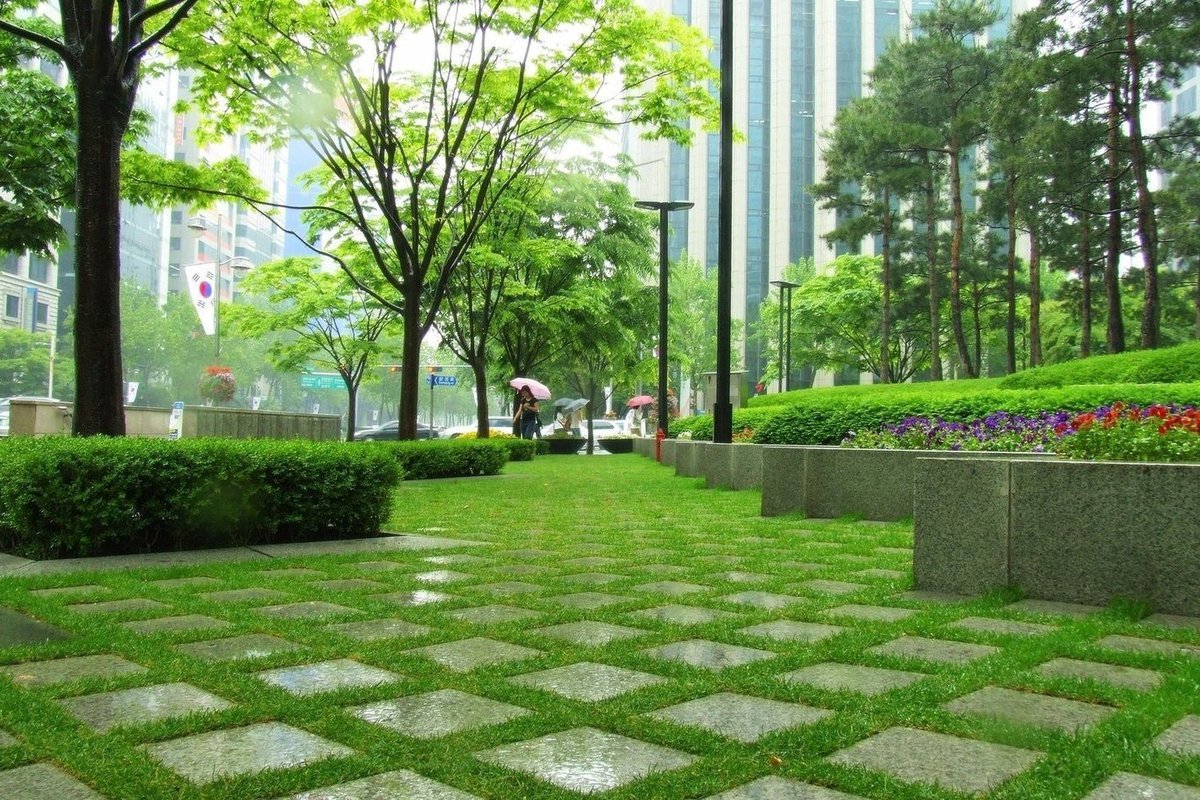 Кустарники и деревья для озеленения